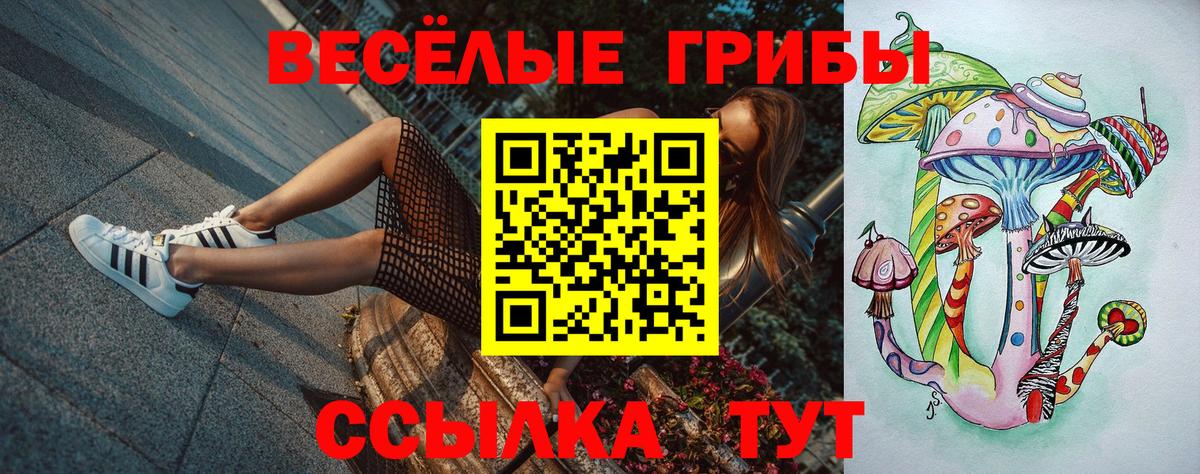 Псилоцибиновые грибы Cubensis Нальчик