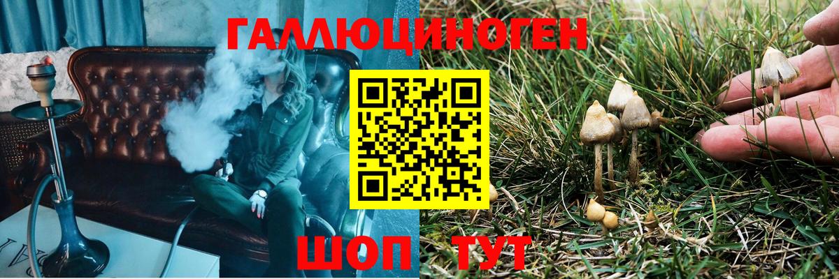 Нальчик  Псилоцибиновые грибы Cubensis  Вход с VPN  Псилоцибиновые грибы MAGIC MUSHROOMS 
